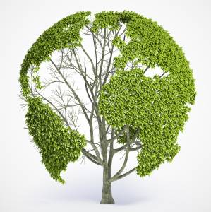 Happy ugadi from standard group